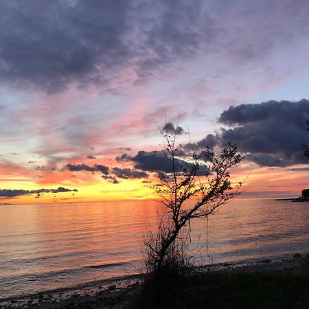 Novigrad Istria App Sorgo 아파트 외부 사진