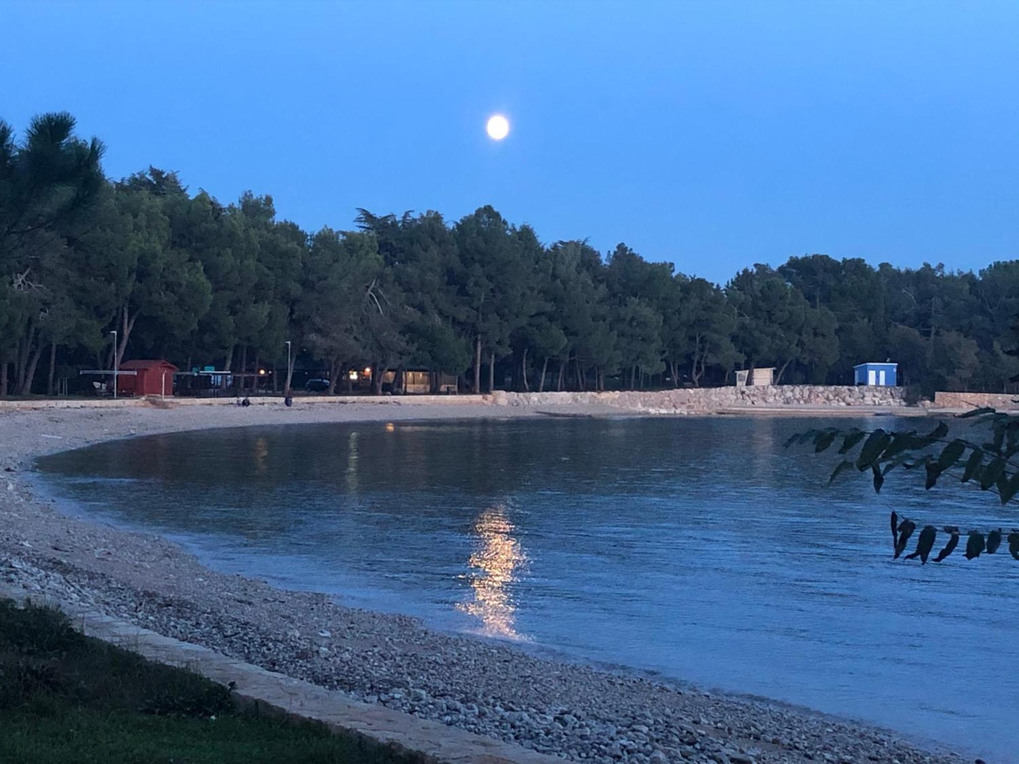 Novigrad Istria App Sorgo 아파트 외부 사진