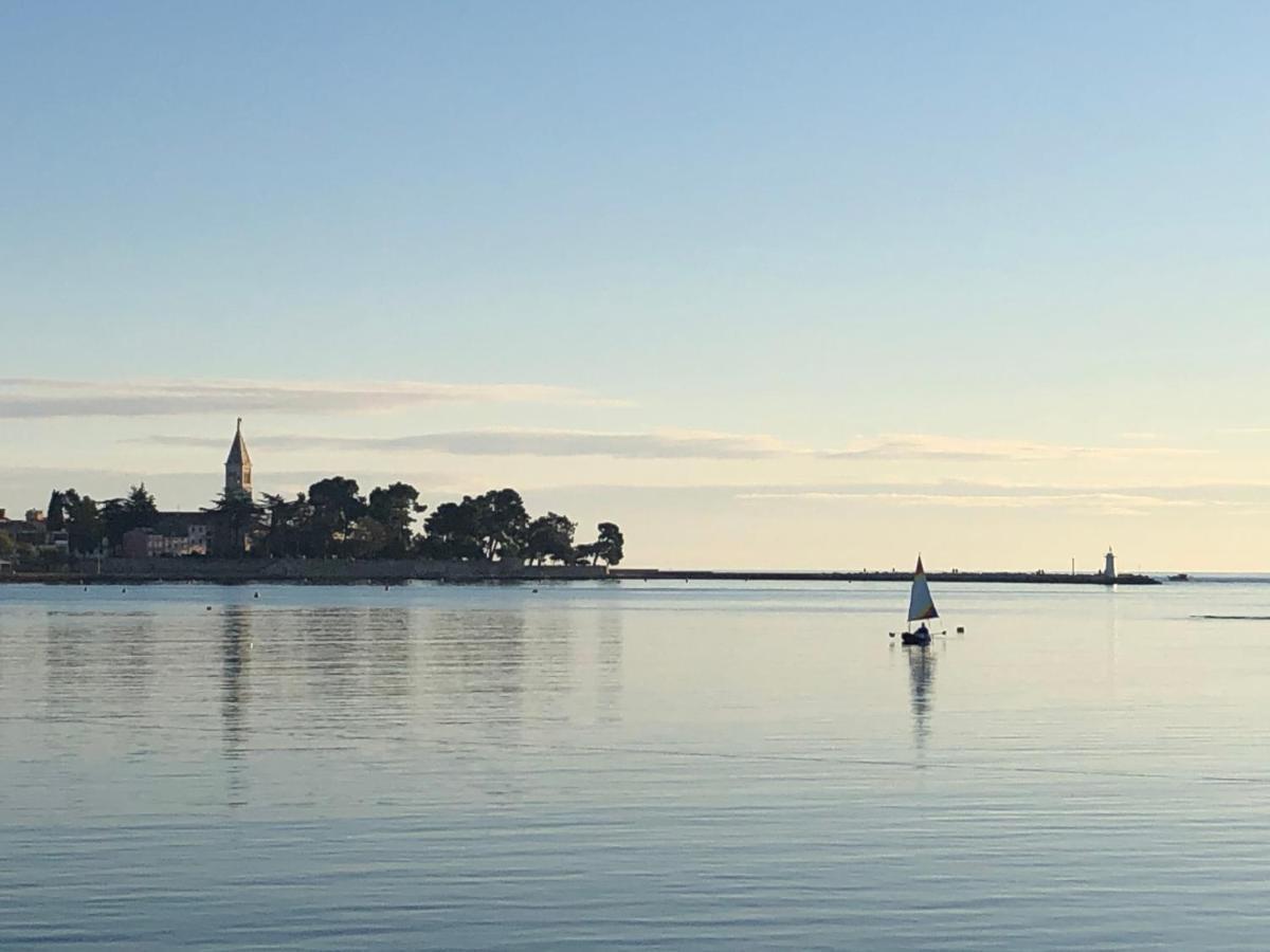Novigrad Istria App Sorgo 아파트 외부 사진