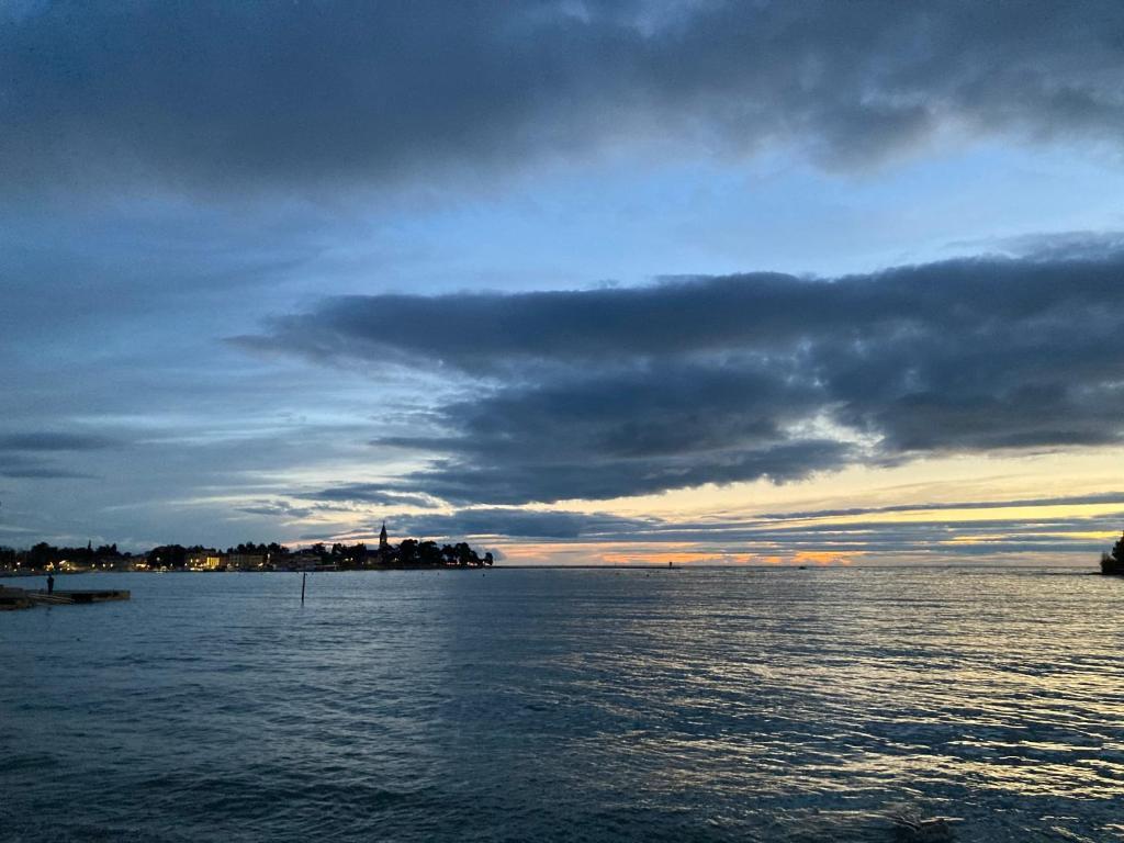 Novigrad Istria App Sorgo 아파트 외부 사진