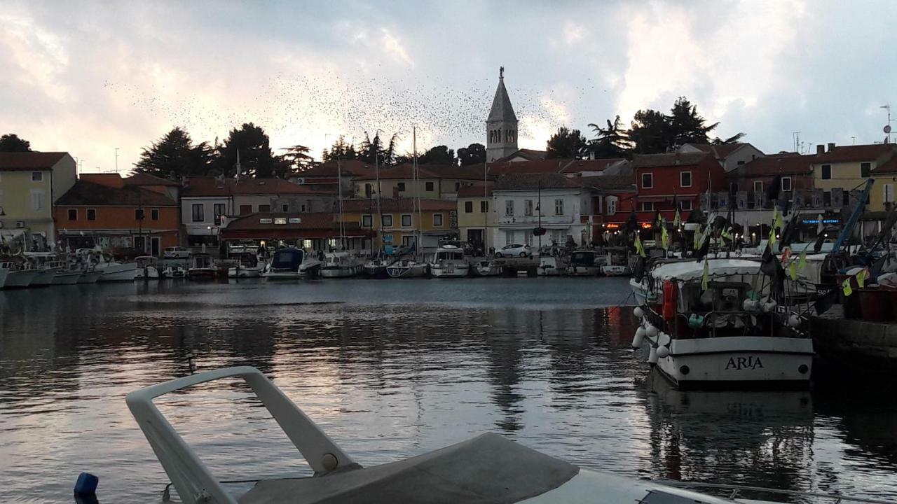 Novigrad Istria App Sorgo 아파트 외부 사진